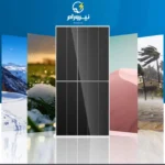 پنل خورشیدی Trina Solar مدل TSM-NE19RC Vertex N 620W