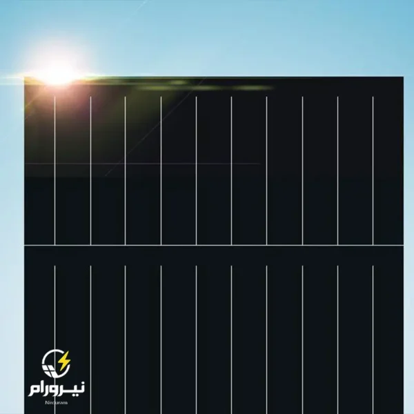 فروش پنل خورشیدی Trina Solar مدل TSM-DEG21C.20 (Vertex – P-type PERC)